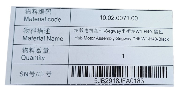 Silnik hulajnoga Segway drift W1 rolki elektryczne Oryginał