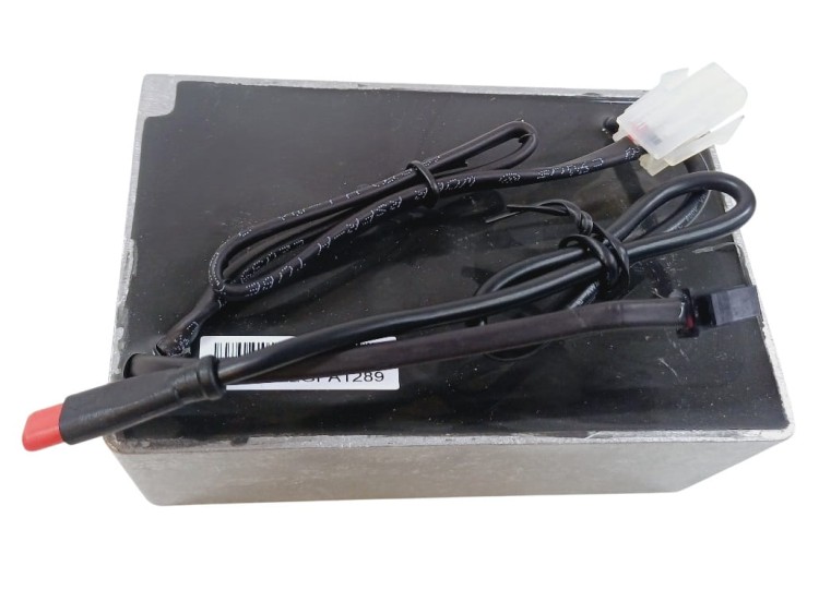 Wbudowana Ładowarka SEGWAY Ninebot P65 Kickscooter P-series NBW54D603D0D